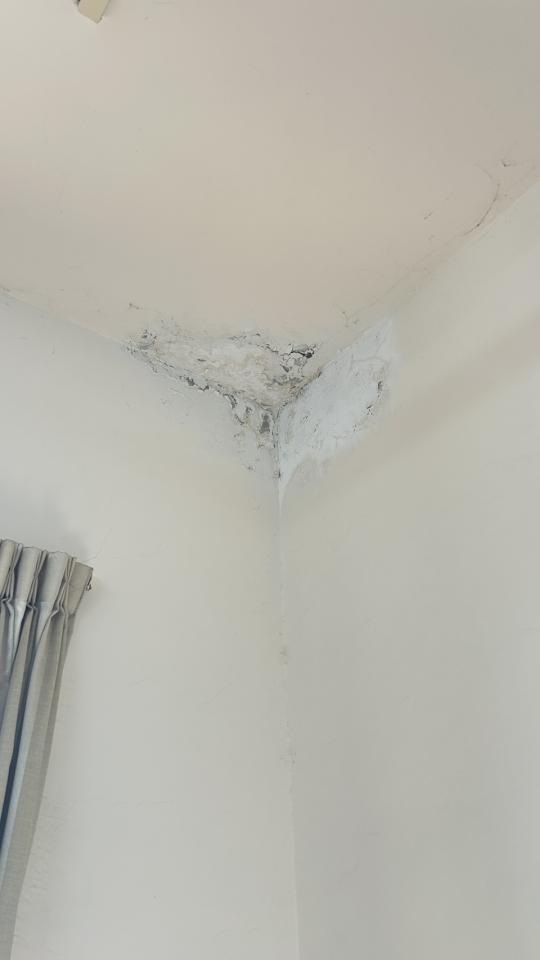 漏水處理案件圖片