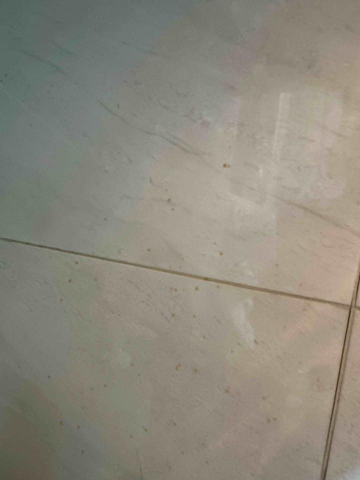 廚房清潔案件圖片