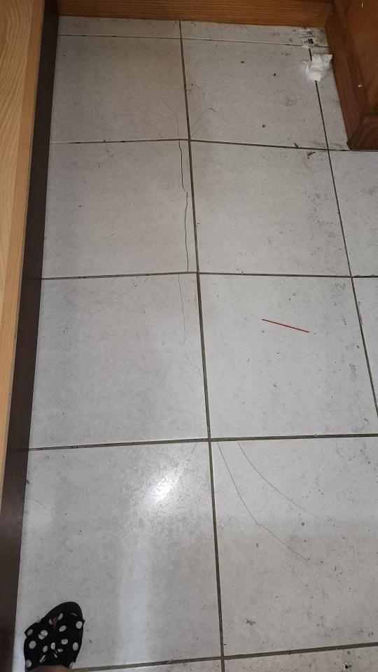 磁磚修補案件圖片