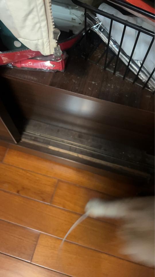 木工施工案件圖片