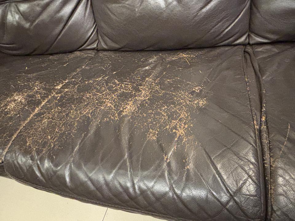 沙發修理案件圖片