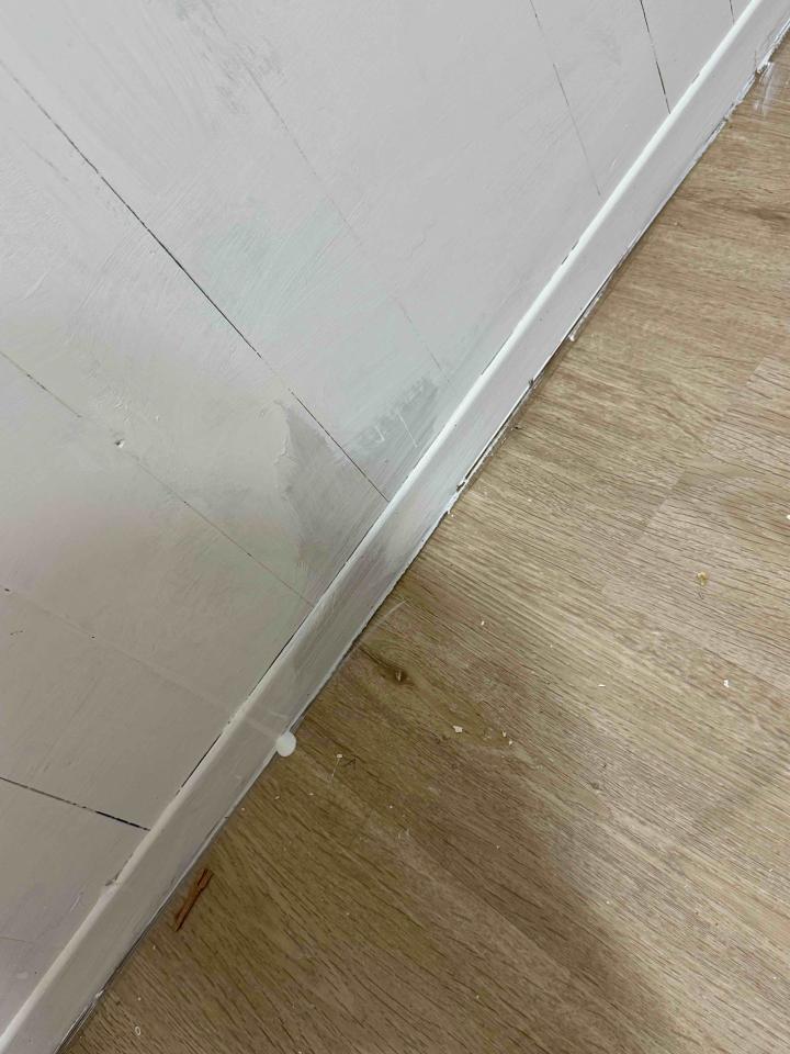 油漆工程案件圖片