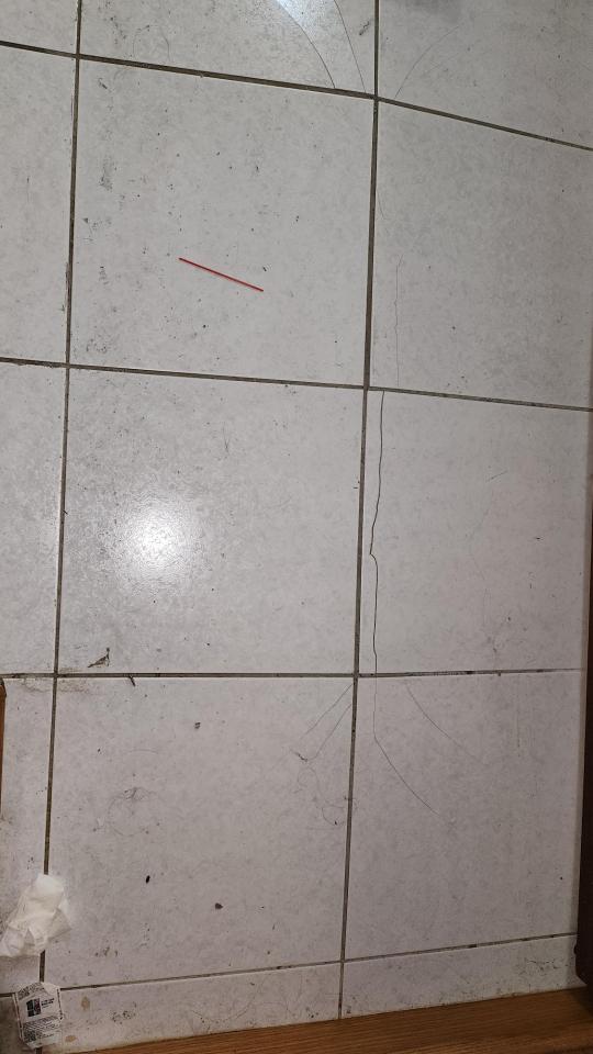 磁磚修補案件圖片