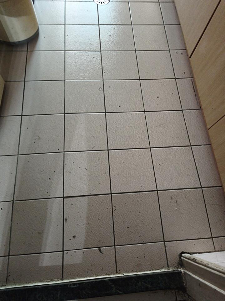 磁磚修補案件圖片