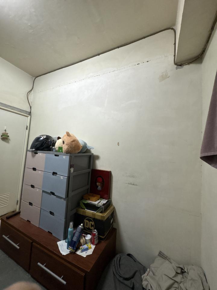 壁紙施工案件圖片