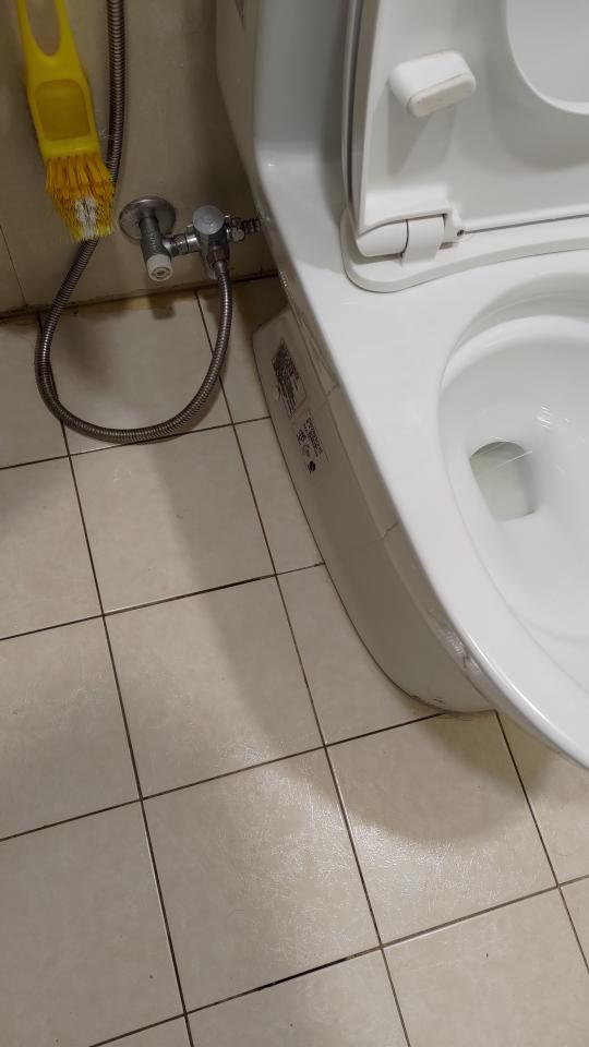 馬桶裝修案件圖片