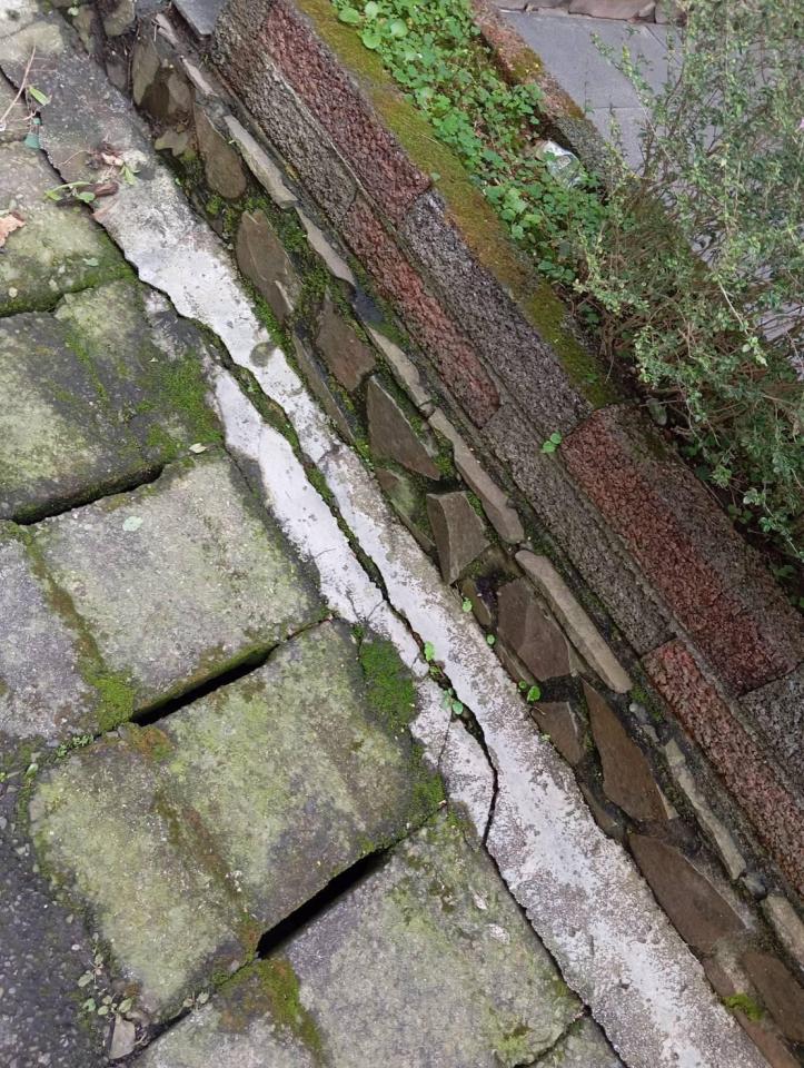 漏水處理案件圖片