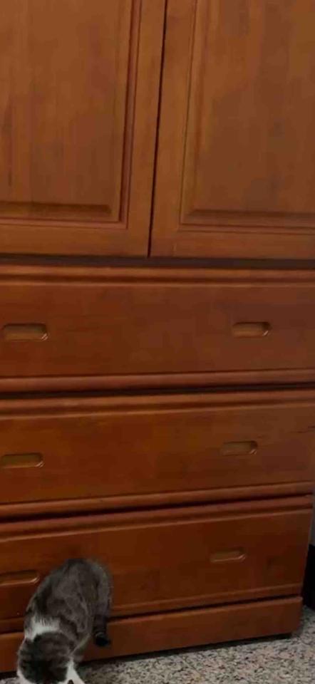 家具維修案件圖片