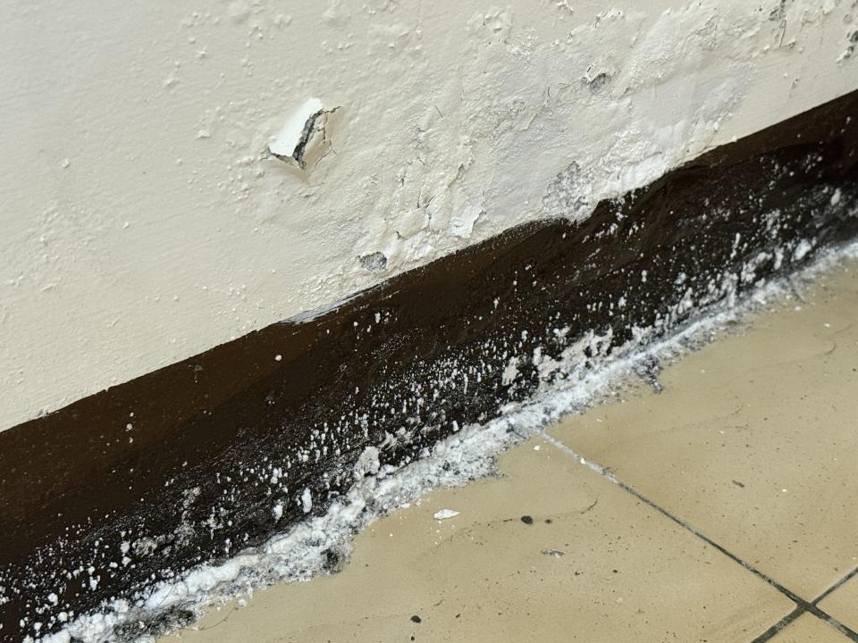 壁癌處理案件圖片