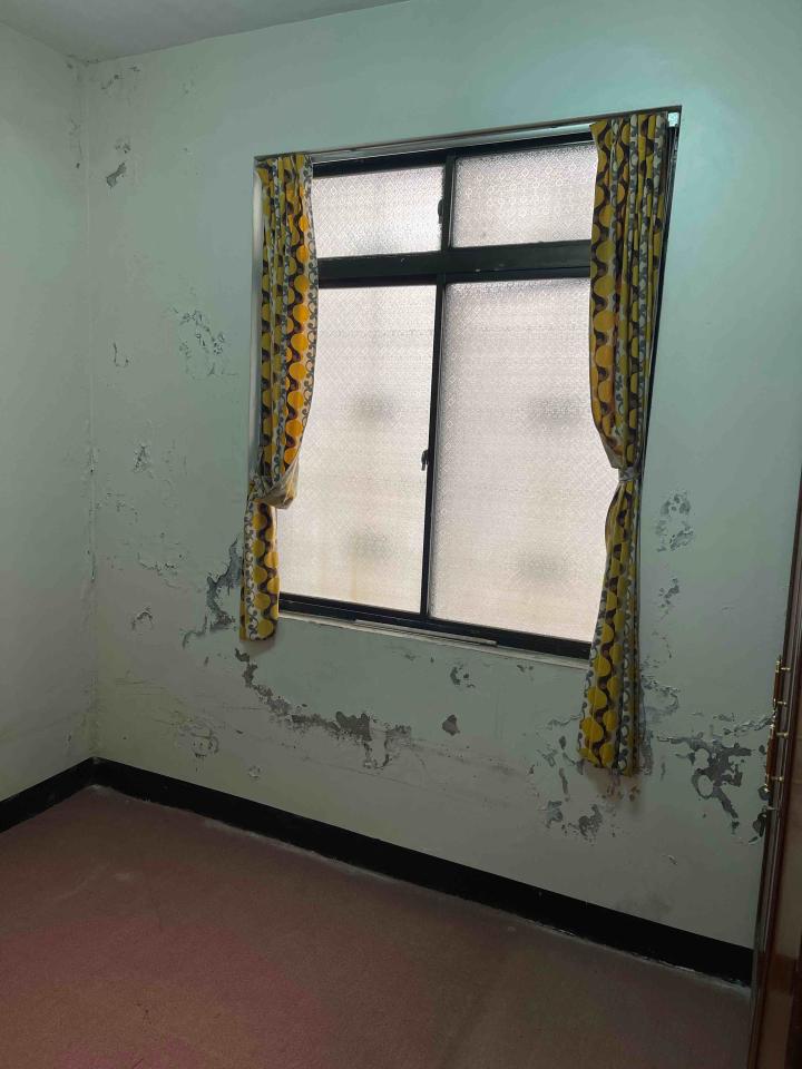 壁癌處理案件圖片