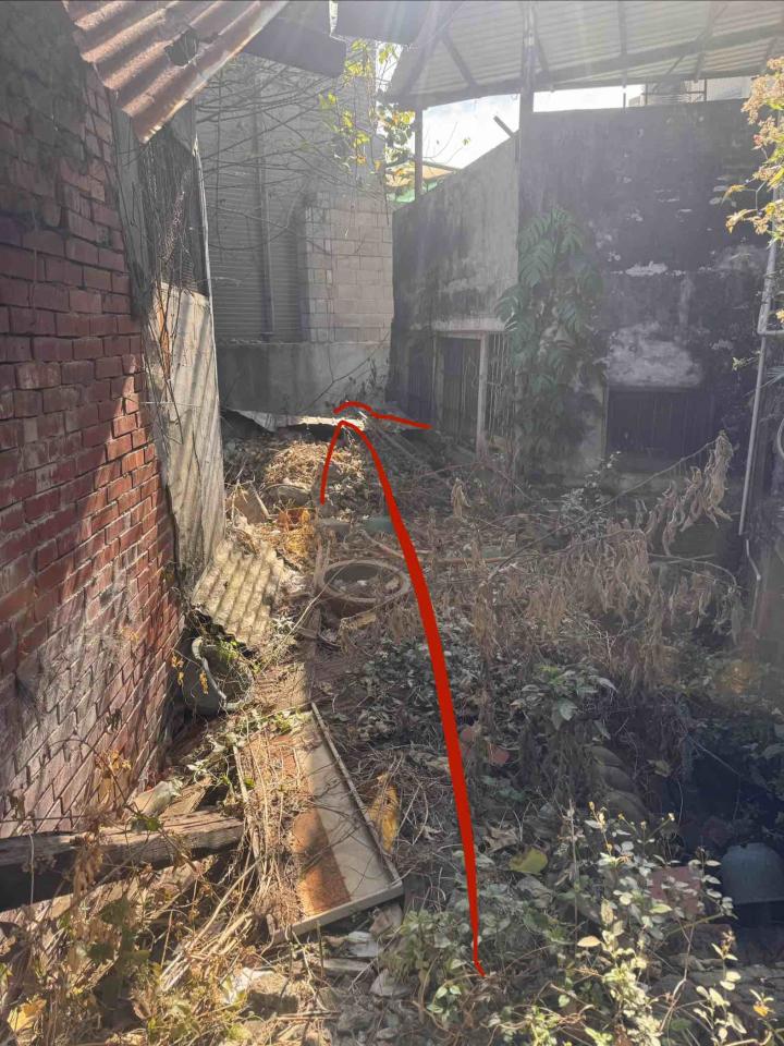 園藝維護案件圖片