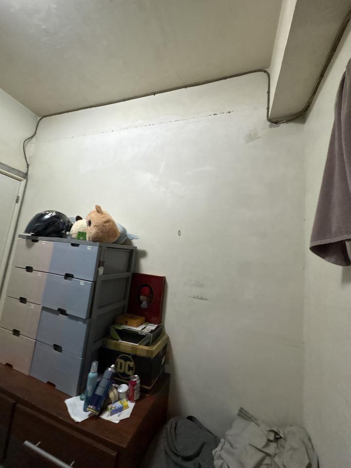 壁紙施工案件圖片