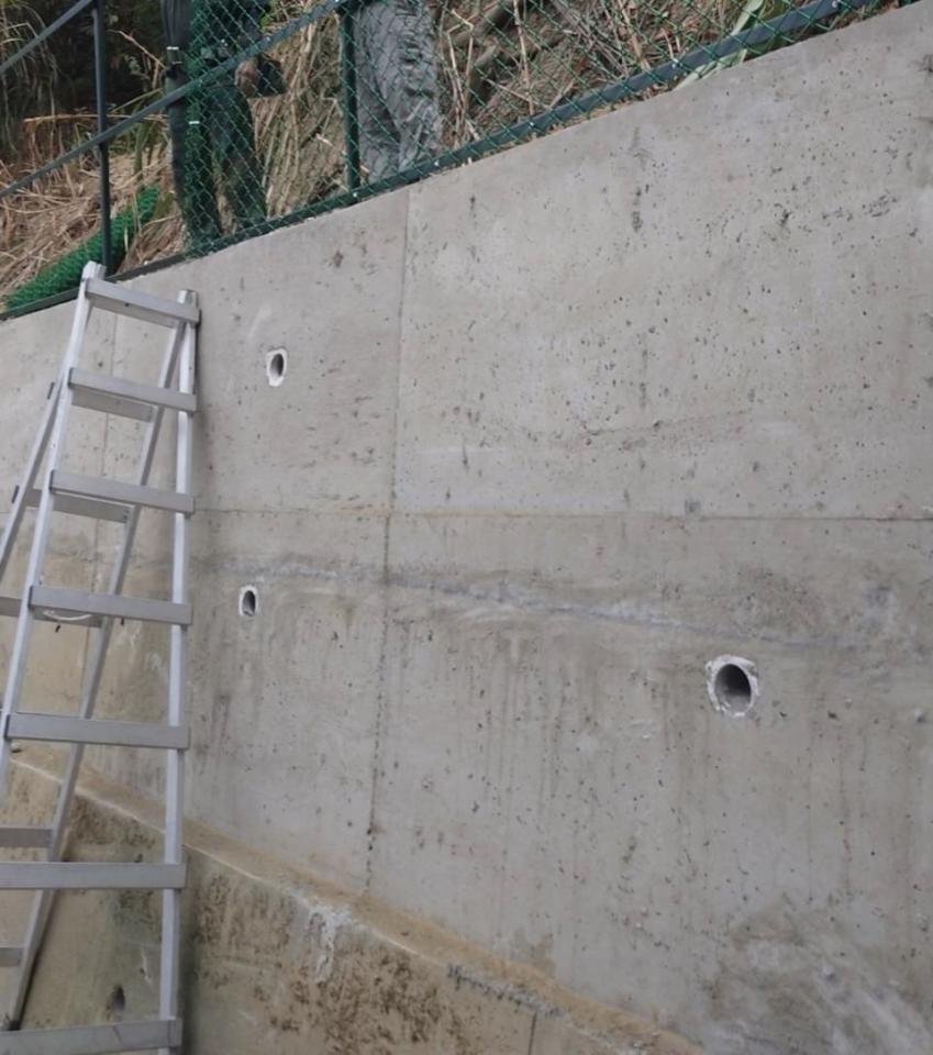 壁畫彩繪案件圖片