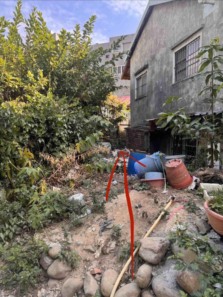 園藝維護案件圖片