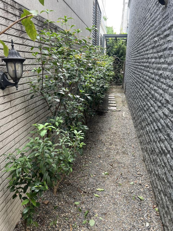 園藝設計案件圖片