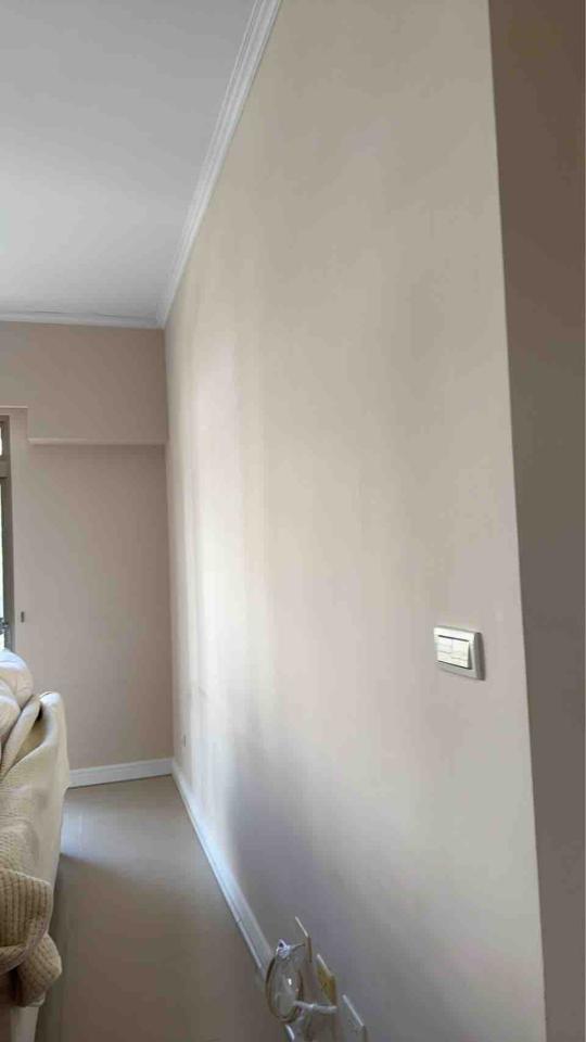 油漆工程案件圖片