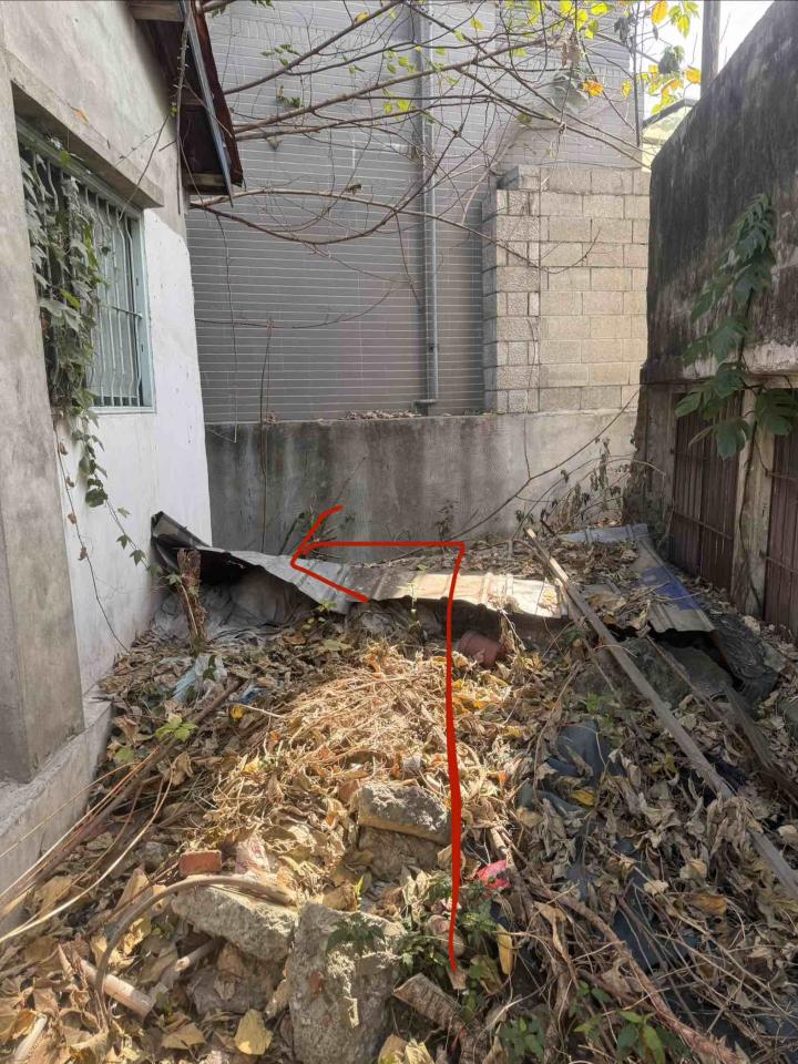 園藝維護案件圖片