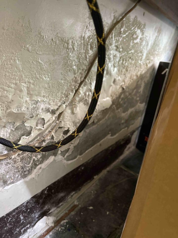 壁癌處理案件圖片