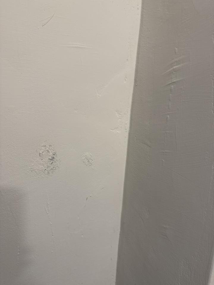 油漆工程案件圖片