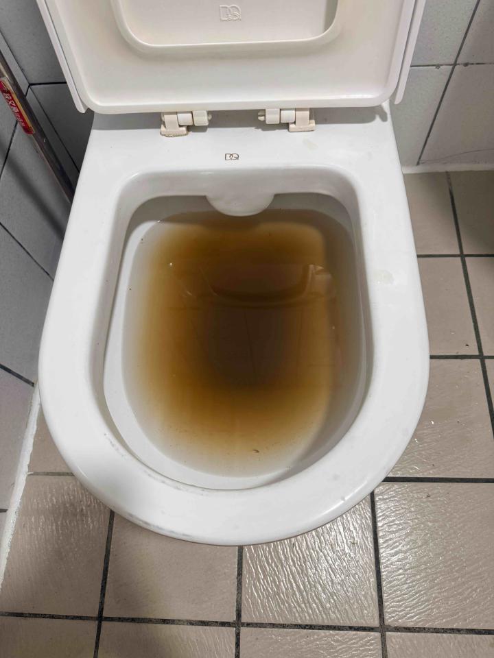 馬桶裝修案件圖片