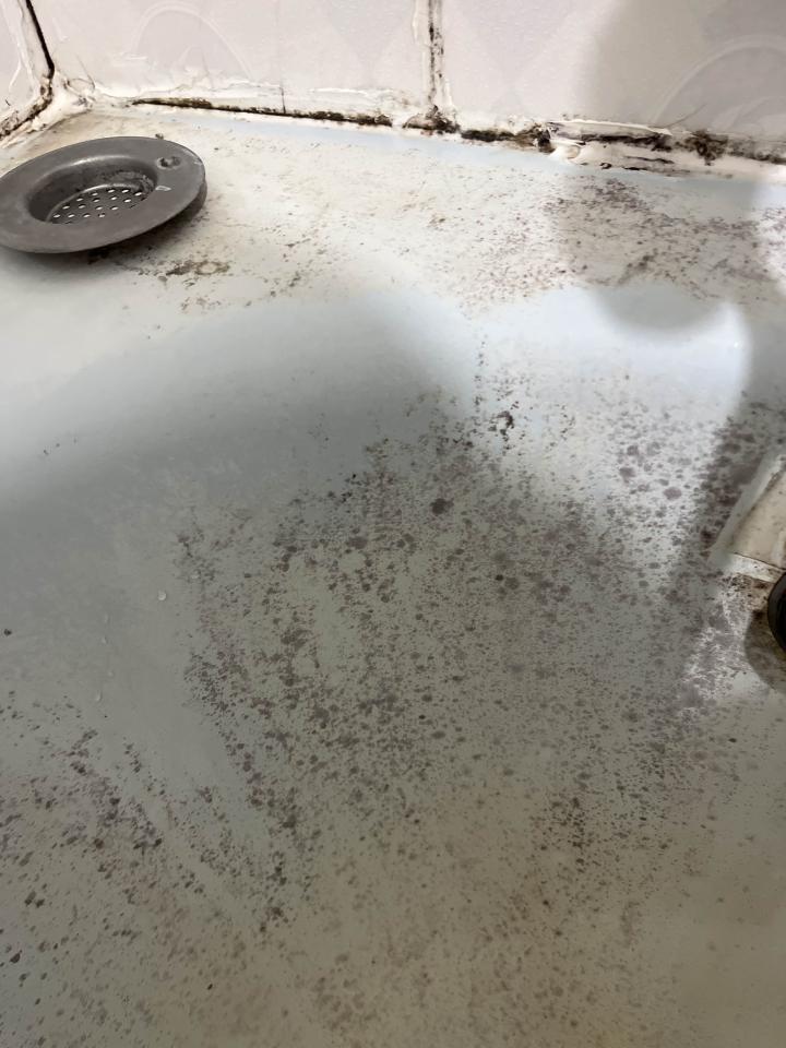 浴缸與淋浴裝修案件圖片