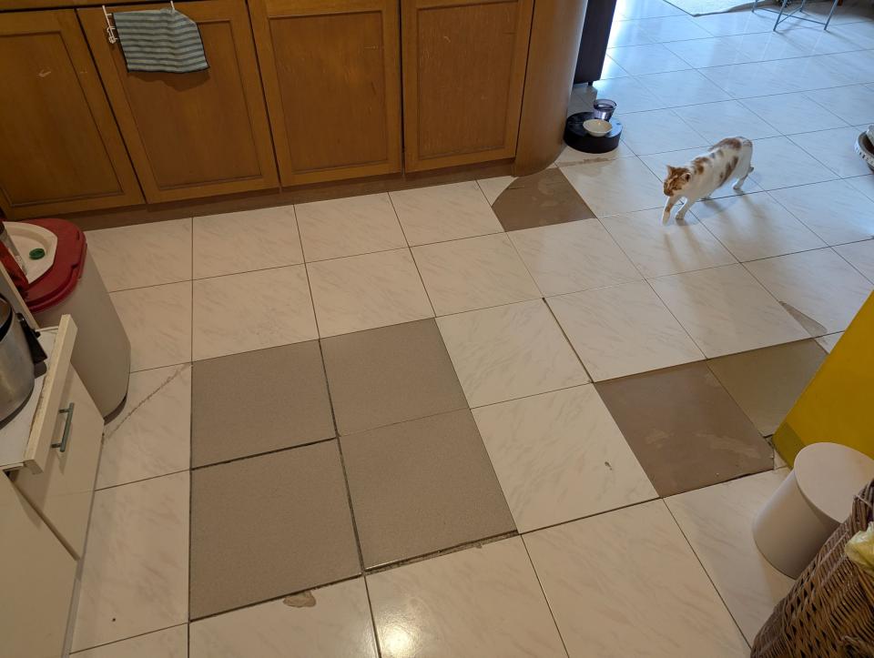 地板維修案件圖片