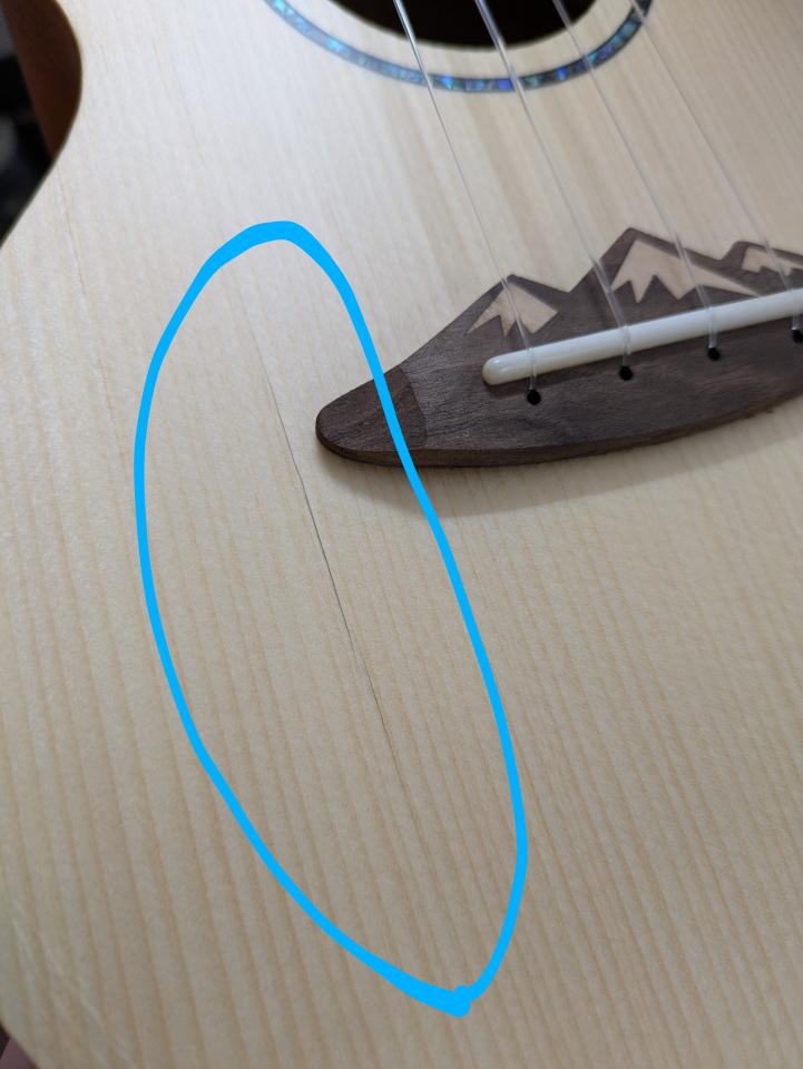 樂器行案件圖片