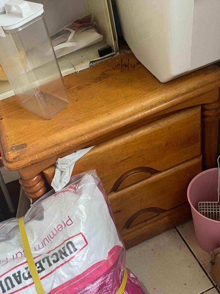 大型垃圾回收案件圖片