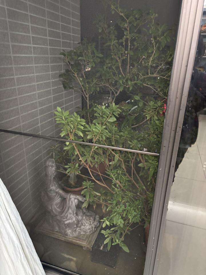 紗窗裝修案件圖片