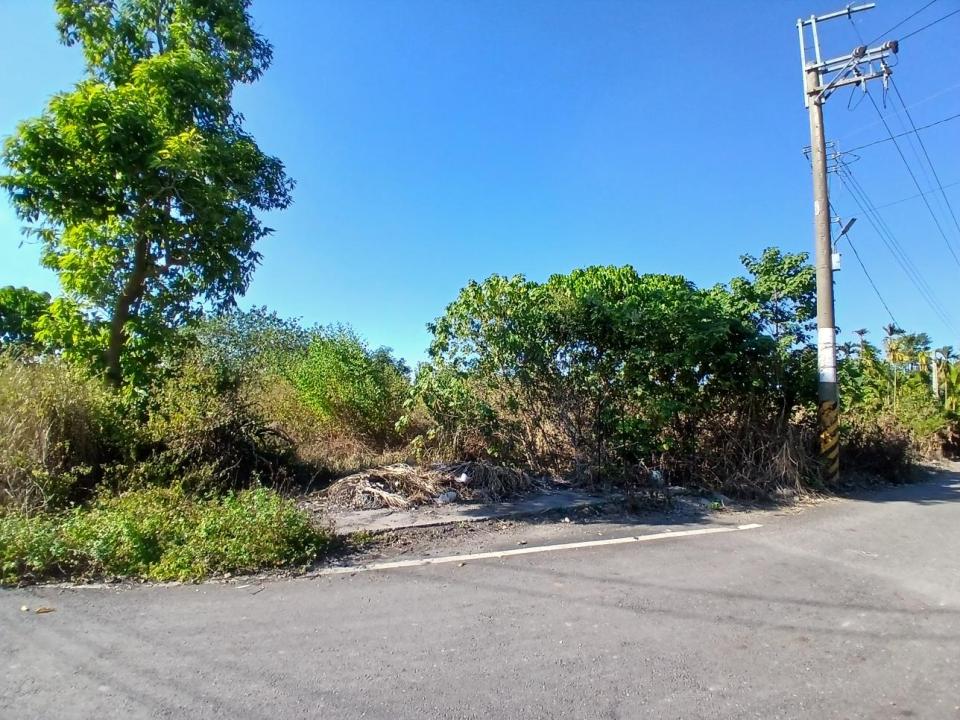 園藝維護案件圖片