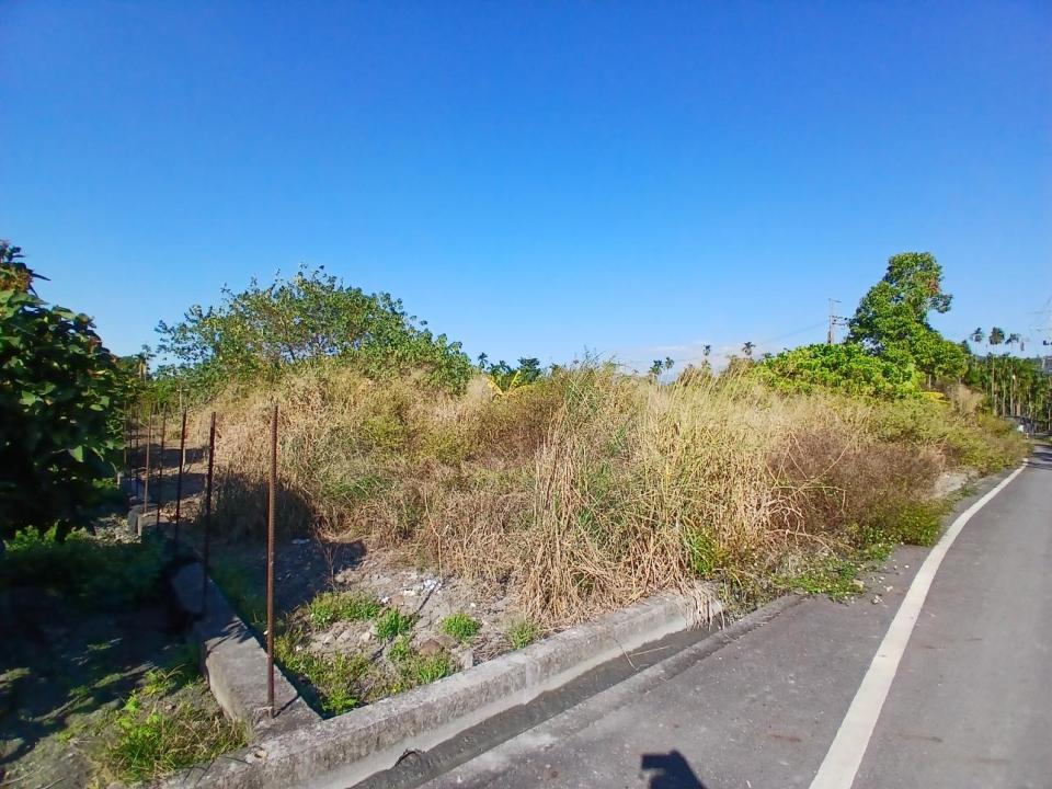 園藝維護案件圖片