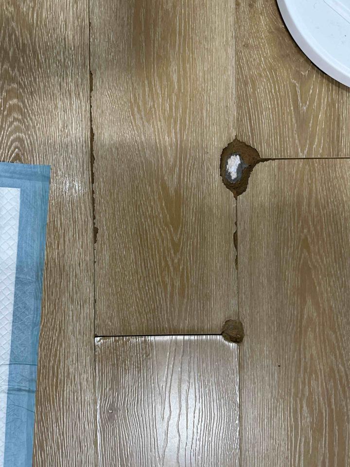 地板施工案件圖片