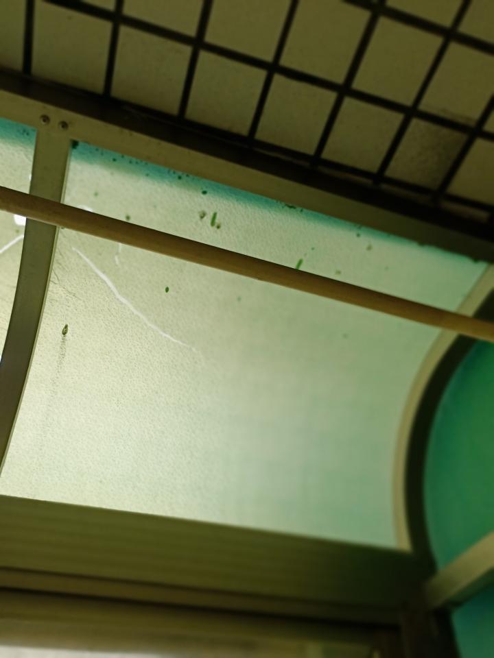 採光罩案件圖片