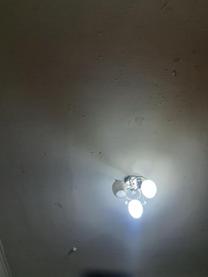 油漆工程案件圖片