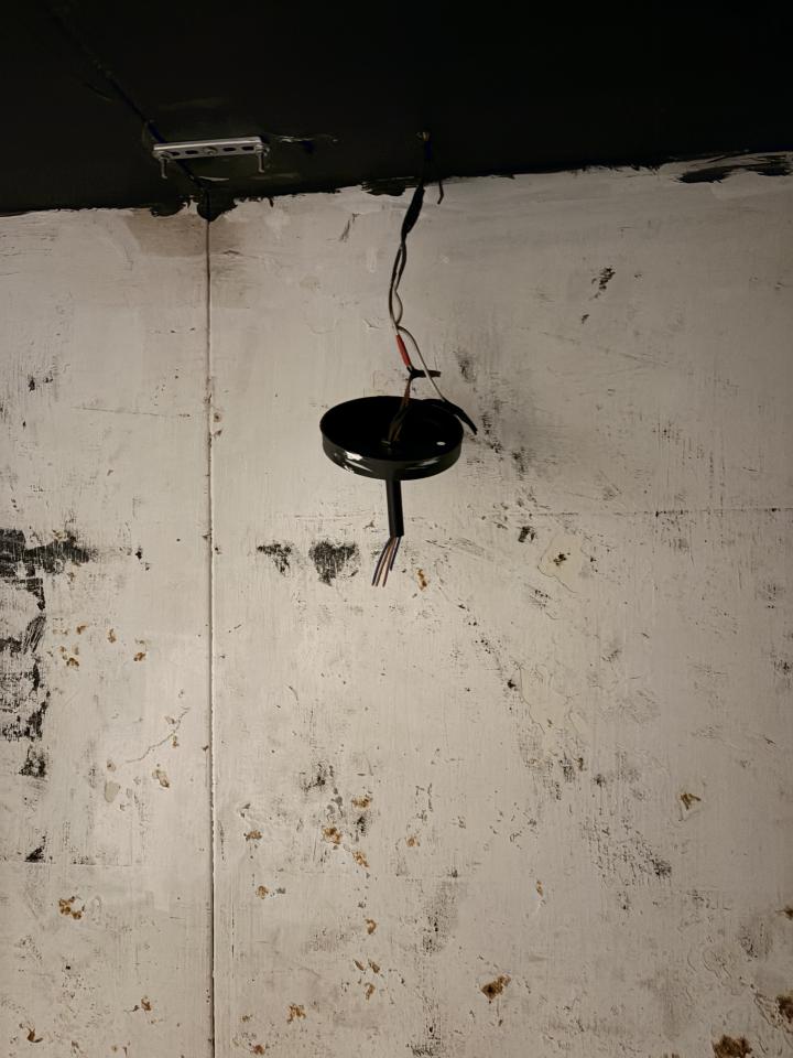 壁紙施工案件圖片