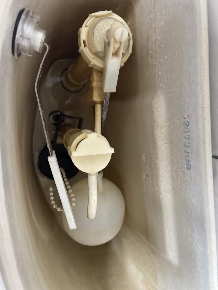 馬桶裝修案件圖片