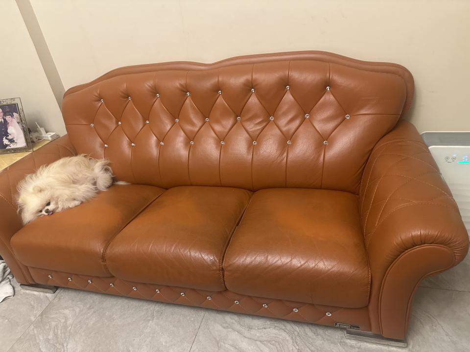 沙發修理案件圖片