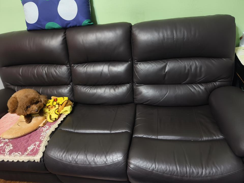 沙發修理案件圖片