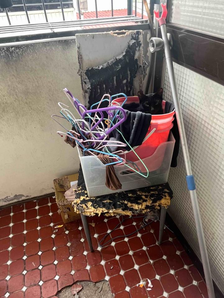 大型垃圾回收案件圖片