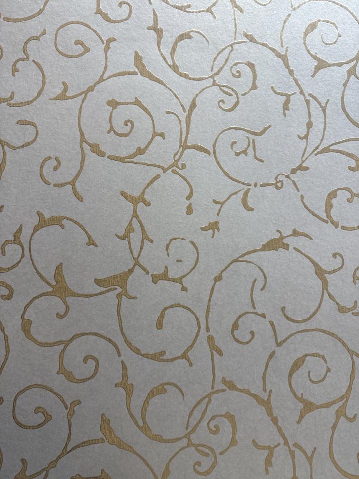 壁紙清除案件圖片