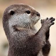 提供打字排版服務的專家Falagar Lin