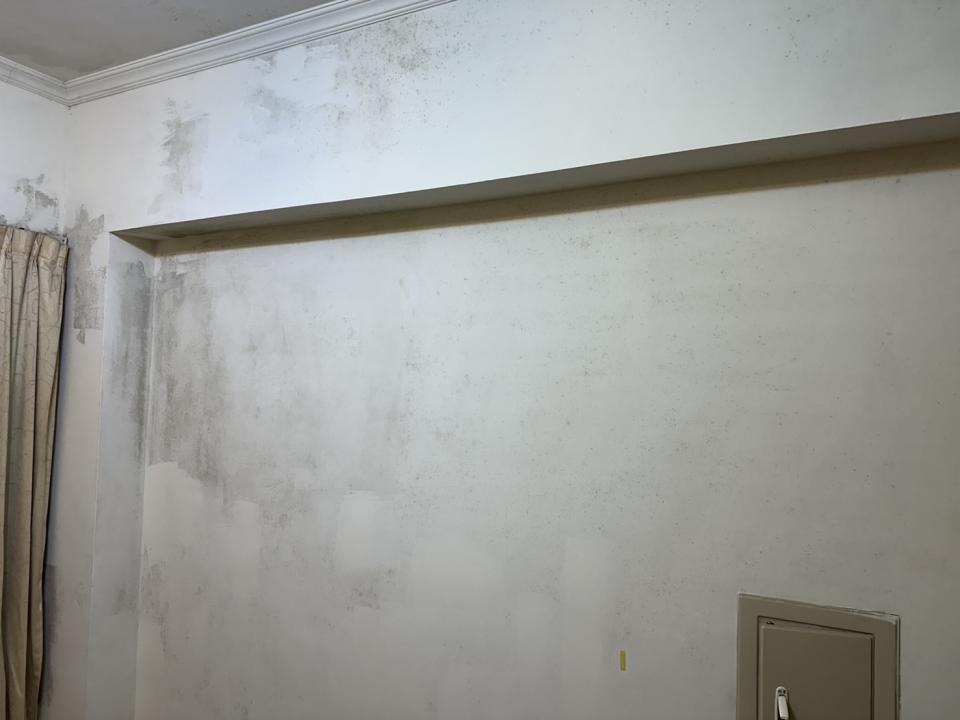 油漆工程案件圖片