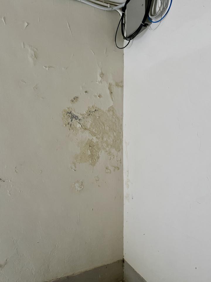 屋頂排水案件圖片