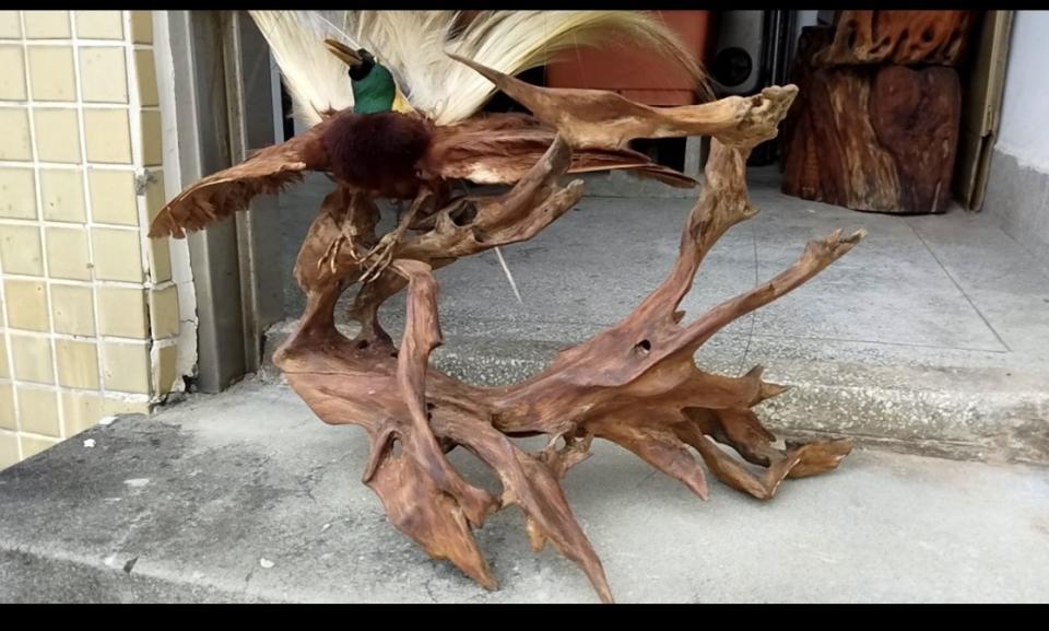 回頭車案件圖片