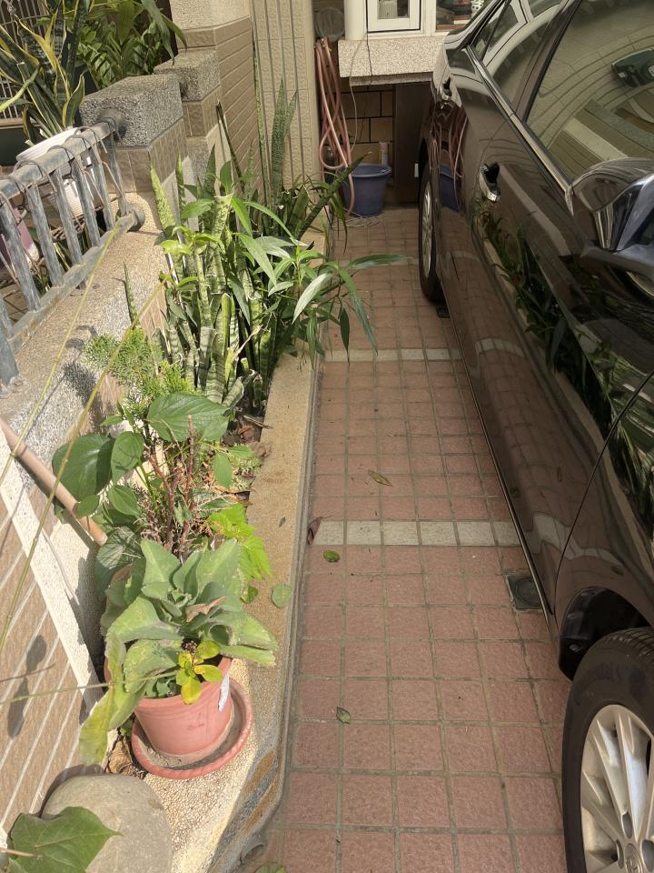 園藝設計案件圖片