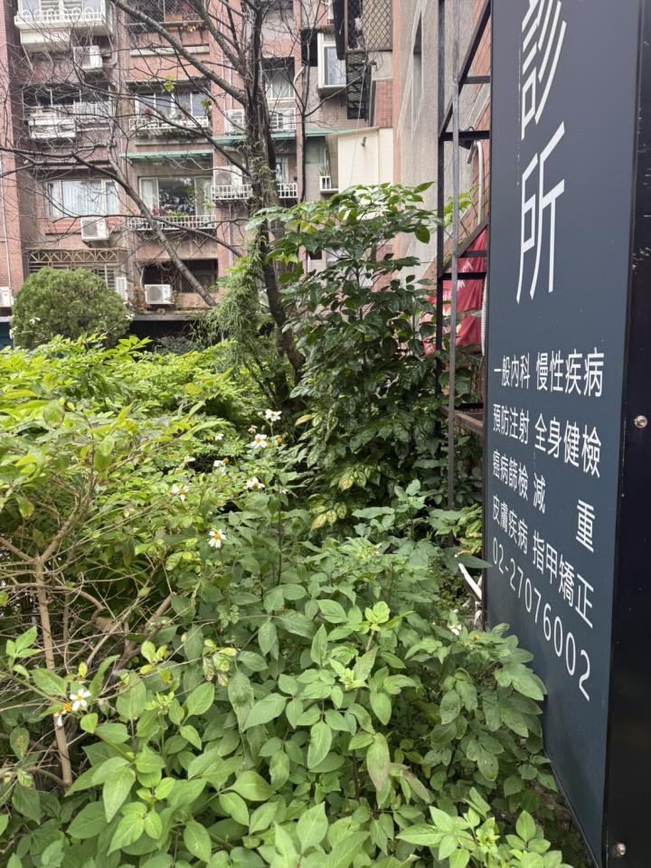 園藝維護案件圖片