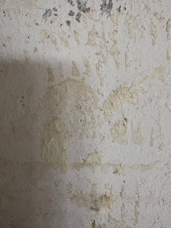 壁紙清除案件圖片