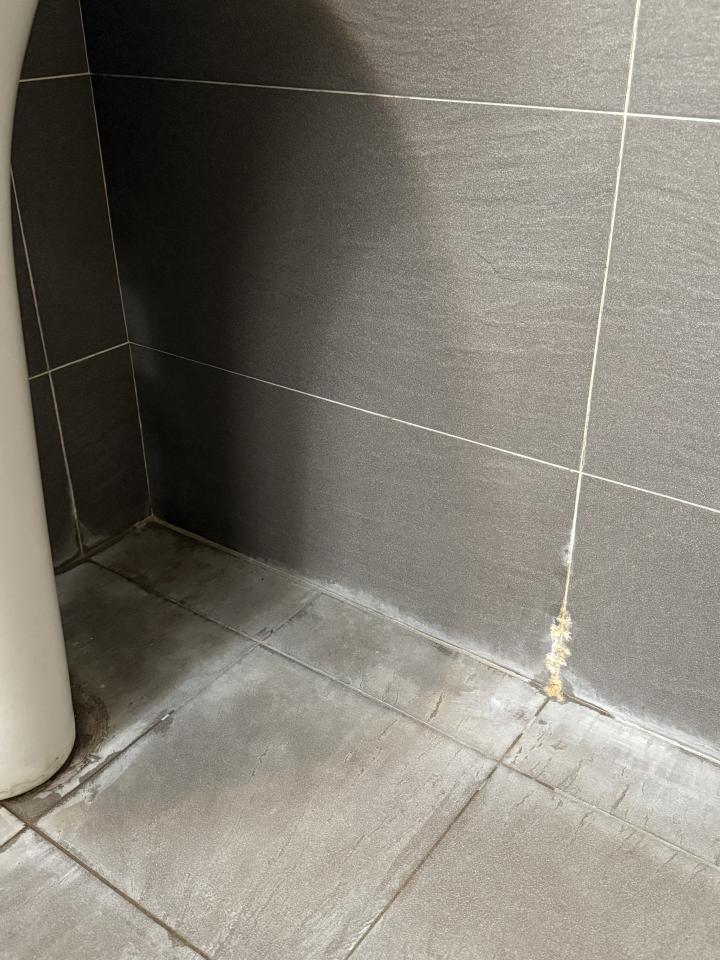 漏水處理案件圖片