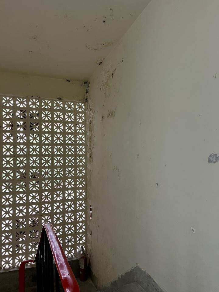 屋頂排水案件圖片