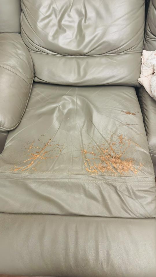 沙發修理案件圖片